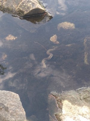 IMG_20190606_082357[1].jpg