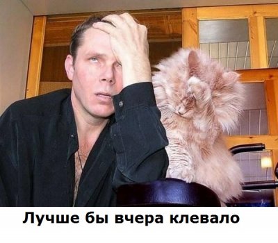 12568_900.jpg