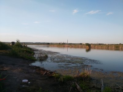 IMG_20190610_191555.jpg