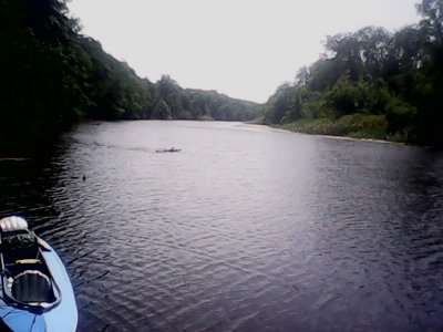 IMG1235A.jpg