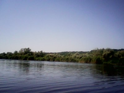 IMG1243A.jpg