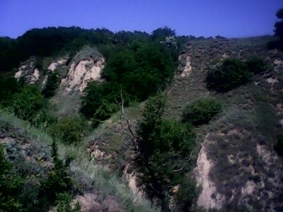 IMG1252A.jpg