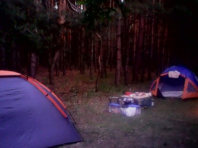 IMG1242A.jpg