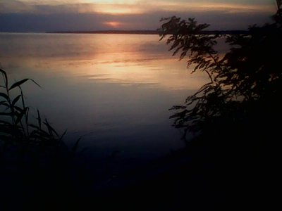 IMG1256A.jpg