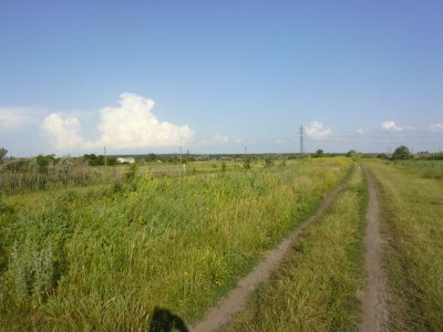 P1050167.JPG
