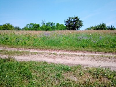 IMG_20190615_121057.jpg