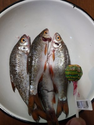 20190623_132251.jpg