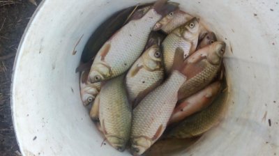 IMG_20190630_182849[1].jpg