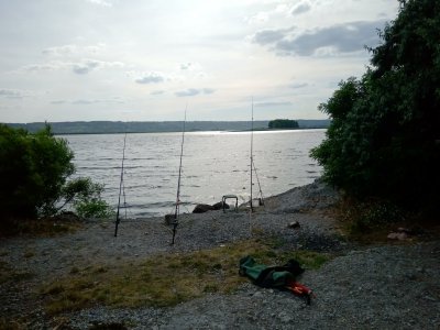 IMG_20190703_172856.jpg