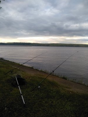 IMG_20190710_195820.jpg