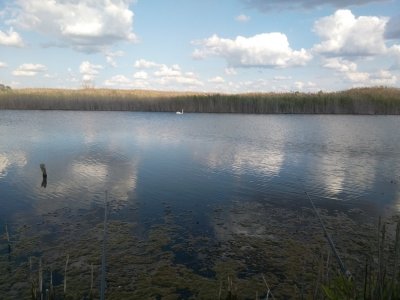 IMG_20190710_170921.jpg