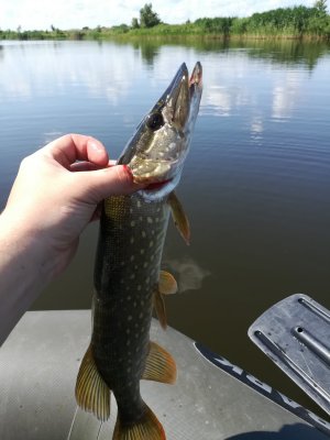 IMG_20190713_103556.jpg