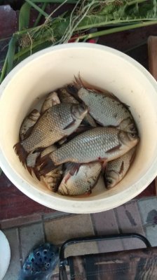 IMG_20190714_194648.jpg
