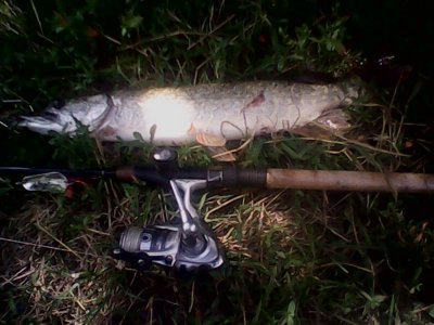 IMG1258A.jpg
