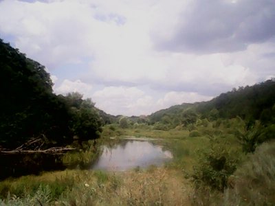 IMG1259A.jpg