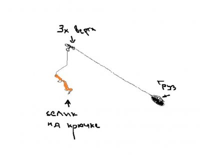 пп.jpg