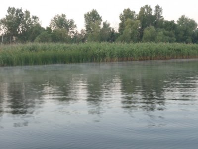 P1160832.JPG