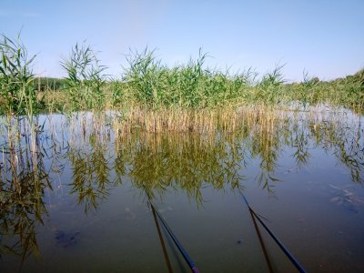 IMG_20190720_100948.jpg