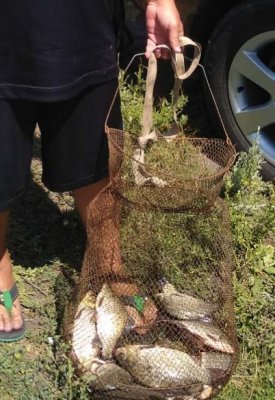 IMG_20190728_214949[1].jpg