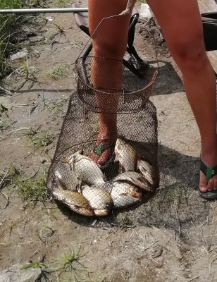 IMG_20190728_214903.jpg