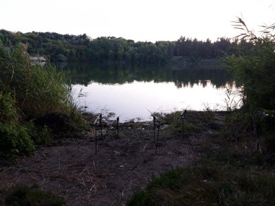 0-02-04-7468cb6c7f5a26316bc229ed0d3380cd60d3092bfe081a382b27df102b42934e_full.jpg
