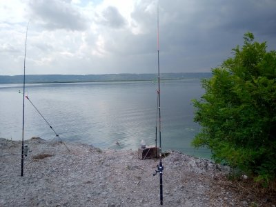 IMG_20190803_142106.jpg