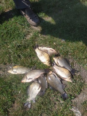 IMG_20190809_112529.jpg