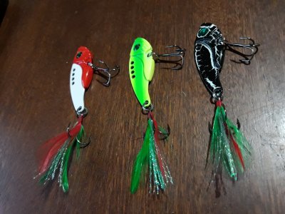 20190810_205544[1].jpg
