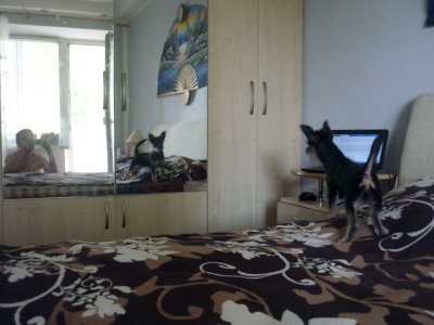 P1160874.JPG
