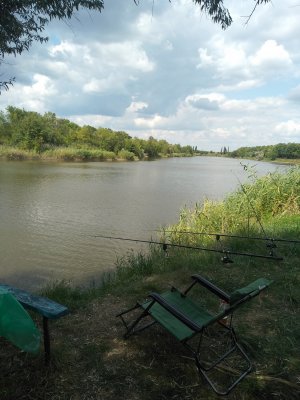 IMG_20190810_134444.jpg