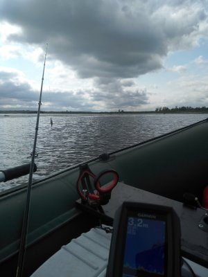 IMG_20190818_095906.jpg