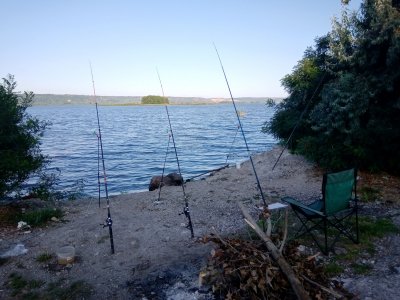 IMG_20190818_075504.jpg