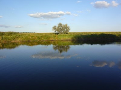 19.08,19.4.JPG