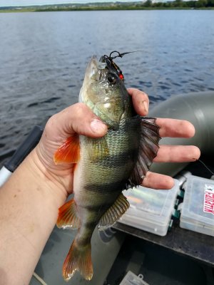 IMG_20190818_113007.jpg
