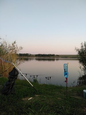 IMG_20190824_192731.jpg