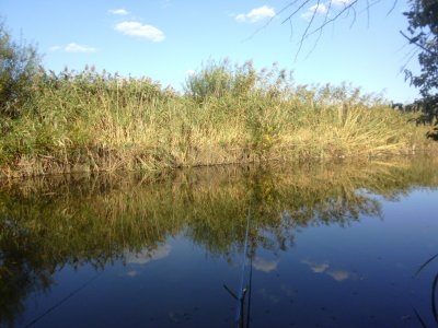 P1050289.JPG