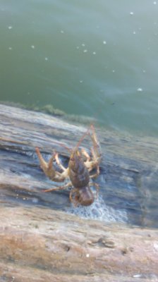 IMG_20190829_182029[1].jpg