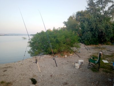 IMG_20190901_070459.jpg