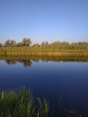 IMG_20190902_071708.jpg