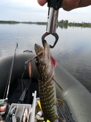IMG_20190901_091828.jpg