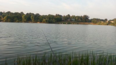 IMG_20190905_184830[1].jpg