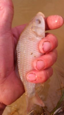 IMG_20190906_142251[1].jpg