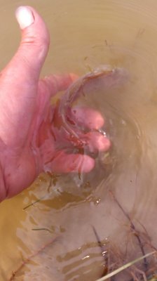 IMG_20190906_142256[1].jpg