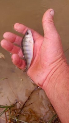 IMG_20190906_141422[1].jpg
