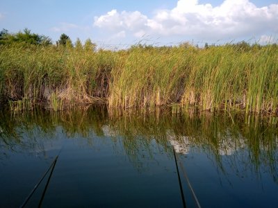 IMG_20190907_173639.jpg