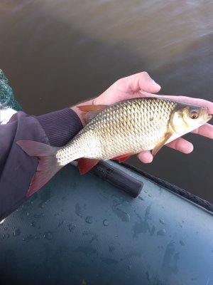 IMG_20190910_084930.jpg