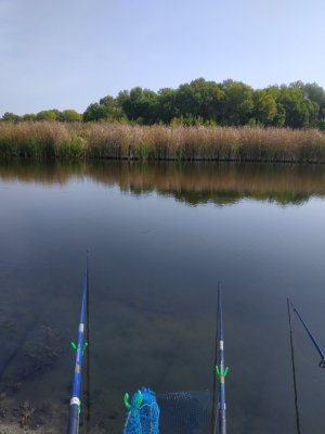 IMG_20190914_103517.jpg