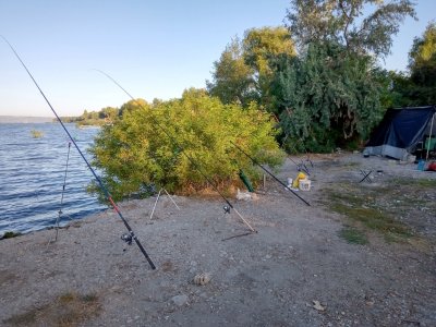 IMG_20190915_080539.jpg