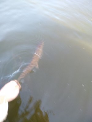 IMG_20190916_074828.jpg