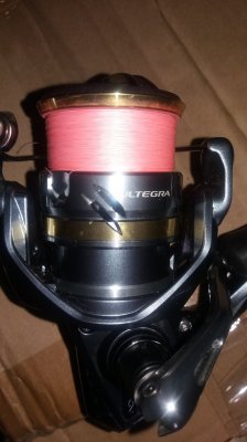 20190916_095231[1].jpg